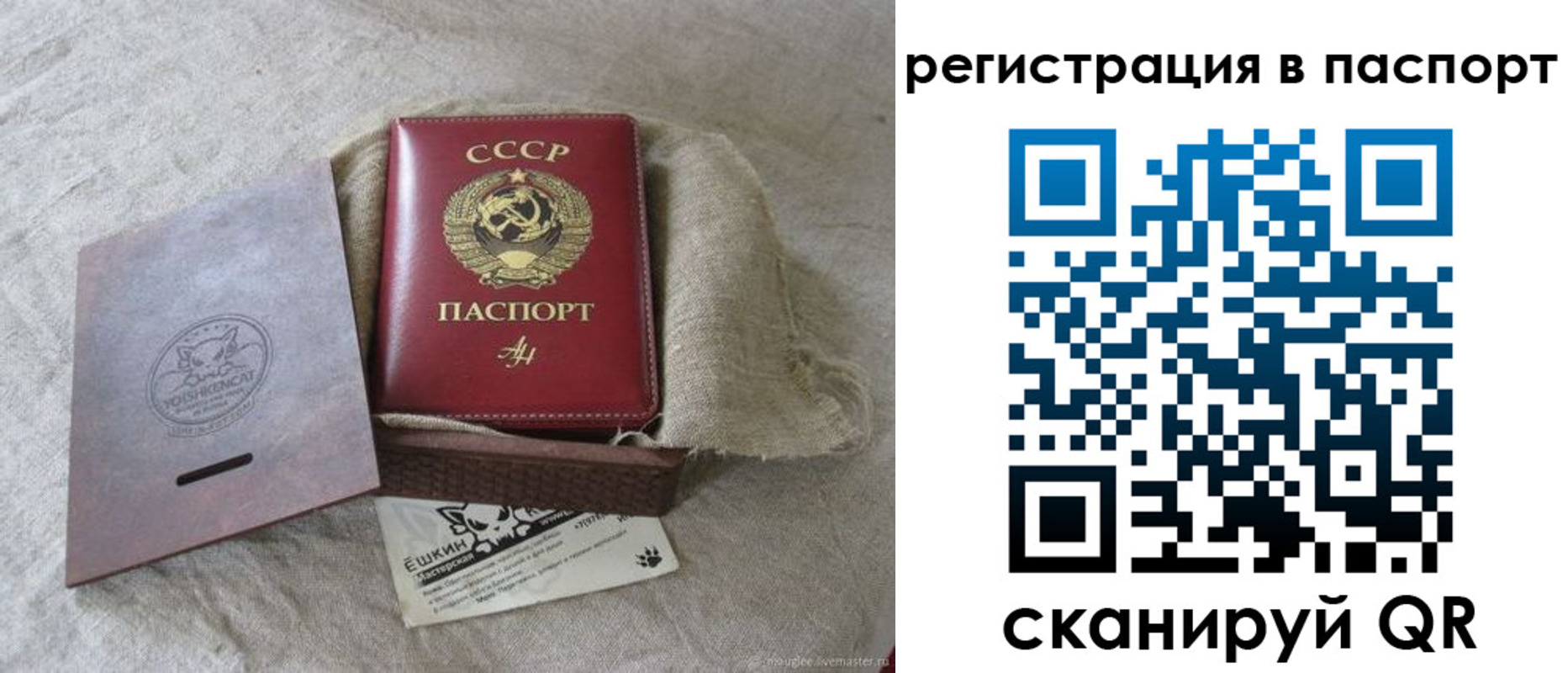 где прописаться в Пушкино
