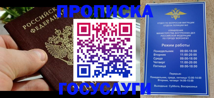 временная регистрация для школы в Пушкино